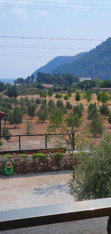 Olive Tree Apart Hotel Mugla Exterior photo